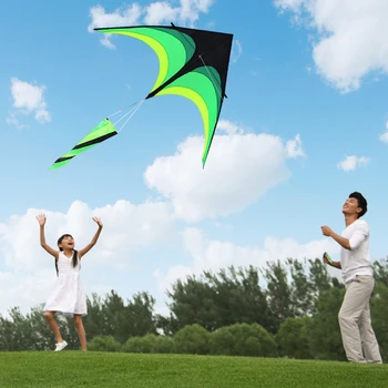1.6 m Lidot Vēja Pūķis Viegli Lidot Galvenais Triks Kite 10 Metru Asti Putnu Veida Pūķis ar Riteni Līniju Bērniem, Pieaugušajiem, Āra
