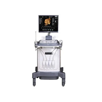 SY-A034 Ultraskaņas Diagnostikas Attēlveidošanas Sistēmu Par Veterināro portatīvo 4d krāsu doplera ultraskaņas