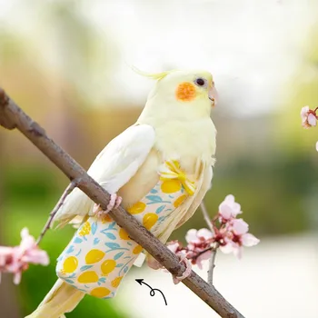 Papagailis Autiņbiksīšu Ar Mazo Cute Bowtie Krāsains Augļu Ziedu Cockatiel Baloži Pet Putnu Lidojuma Uzvalks Drēbes Putnu Piederumi طيور